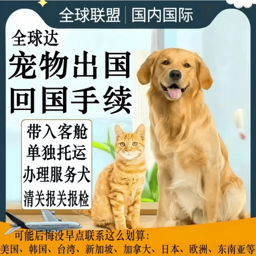 河北区宠物托运到柬埔寨宠物入境规定和要求