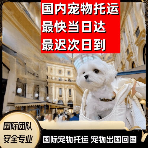 河北区到澳大利亚（澳洲）宠物入境规定和要求