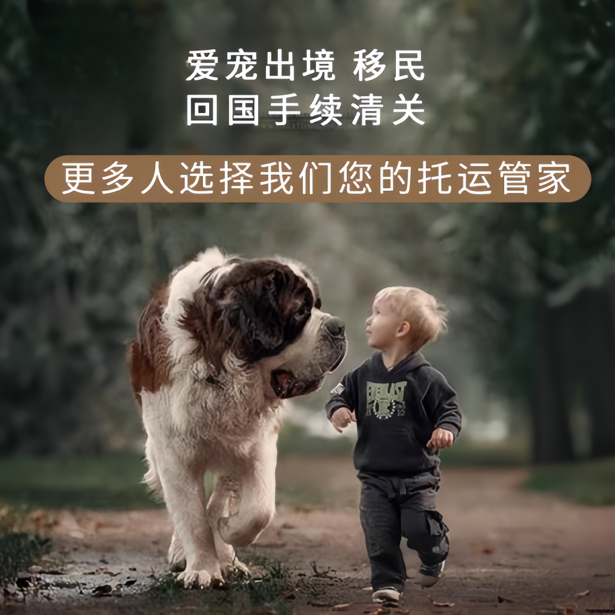 满财河北区宠物全球达宠物托运在遵守入境目的地政策的条件