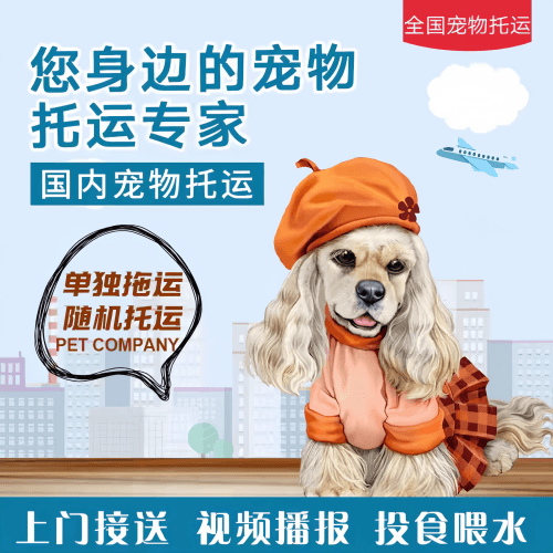 满财河北区宠物全球达宠物托运作为专业的宠物运输代理机构